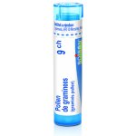 POLLEN DE GRAMINEES POR 9CH GRA 4G – Hledejceny.cz