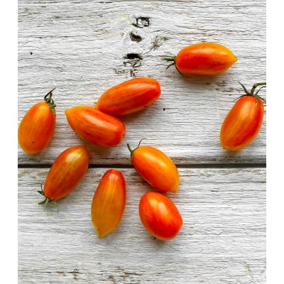 BIO Rajče Blush - Solanum lycopersicum - bio osivo rajčat - 6 ks