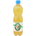 Stevikon kombucha hloh 0,5 l – Zboží Dáma