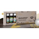 Saloos Vánoční pohoda sada vonné oleje 5 x 10 ml – Hledejceny.cz
