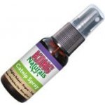KONG Company Limited Catnip spray Kong 1 ks – Zbozi.Blesk.cz