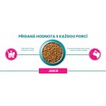Purina ONE bifensis junior kuře 0,8 kg – Zboží Dáma
