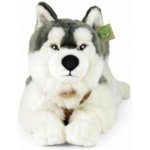 Eco-Friendly Rappa pes husky s obojkem ležící 60 cm – Hledejceny.cz