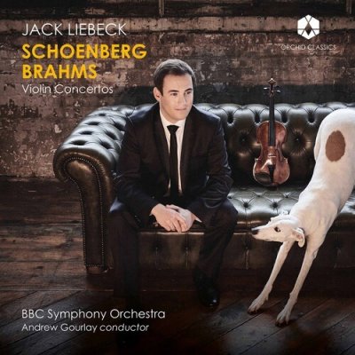 Schoenberg/Brahms - Violin Concertos CD – Hledejceny.cz