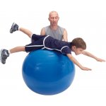 Ledraplastic Gymnic Physioball Classic 95 cm – Zboží Dáma