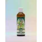 Naděje Bříza bělokorá tinktura z pupenů 50 ml – Hledejceny.cz