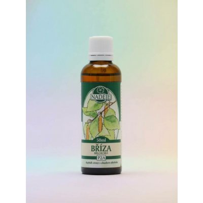Naděje Bříza bělokorá tinktura z pupenů 50 ml – Hledejceny.cz