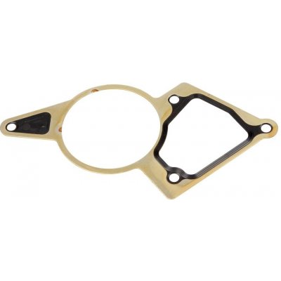 Těsnění vakuové pumpy Fiat Ducato 2006-2011, Peugeot Boxer od 2006 2,2 JTD 9676973280 – Hledejceny.cz