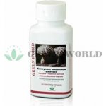 Green world Shiitake 100 kapslí – Hledejceny.cz