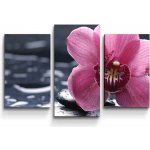 Sablio Obraz - 3-dílný Orchidej - 75x50 cm – Hledejceny.cz