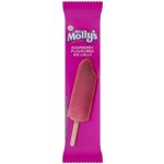 Ms Molly's Mražený krém vodový s malinovou příchutí s malinovou náplní 70 ml – Zbozi.Blesk.cz
