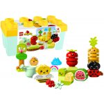 LEGO® DUPLO® 10984 Bio zahrádka – Zboží Živě