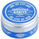 Institut Karite Active Day krém pro normální a smíšenou pleť 100 ml