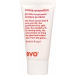 EVO Mane Attention Protein Treatment 150 ml – Hledejceny.cz