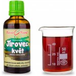 Bylinné kapky Jírovec květ tinktura 50 ml – Hledejceny.cz