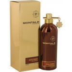 Montale Aoud Forest parfémovaná voda unisex 100 ml – Hledejceny.cz