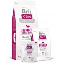 Brit Care Junior Large Breed Lamb & Rice 2 x 12 kg