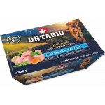 Ontario Adult Dog Chicken with Vegetable 320 g – Zboží Mobilmania