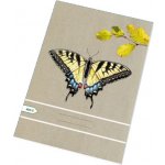 Papírny Brno Sešity školní ECONOMY A4 čtvereček 465 – Sleviste.cz