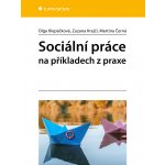 Sociální práce na příkladech z praxe – Hledejceny.cz