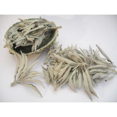 U Džoudyho Šalvěj bílá 30 g – Zboží Dáma