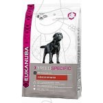 Eukanuba Labrador Retriever 2,5 kg – Hledejceny.cz