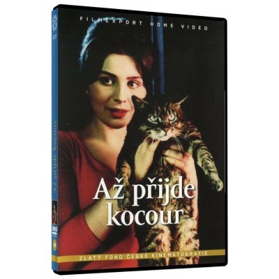 Až přijde kocour DVD – Hledejceny.cz