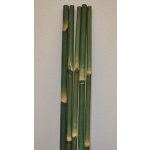 Axin Trading s.r.o. Bambusová tyč 5 - 6 cm, délka 2 metry - barvená zelená – Zbozi.Blesk.cz
