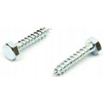 Šrouby do dřeva WT WINTECH a.s. 1 x 1 mm 1 ks – Hledejceny.cz