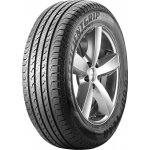 Goodyear EfficientGrip 225/60 R17 99V – Hledejceny.cz