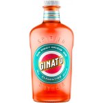 Ginato Clementino Gin 43% 0,7 l (holá láhev) – Zboží Dáma