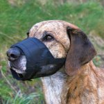 Trixie náhubek se síťkou 5 – Zboží Dáma