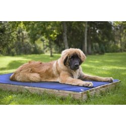 HyperKewl Dog Pad Chladící podložka pro psy S (48 x 61 cm)