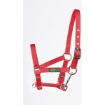 USG Ohlávka pro hříbata červená – Zboží Dáma