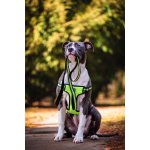 Vsepropejska Walk postroj pro psa s vodítkem – Zboží Dáma