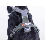 Non Stop Postroj pro psy dogwear Line harness 5.0 – Zboží Dáma