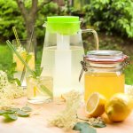 Tescoma TEO 2.5 l s vyluhováním a chlazením – Sleviste.cz