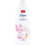 Dove Nourishing Secrets Glowing Ritual sprchový gel 500 ml – Zboží Mobilmania