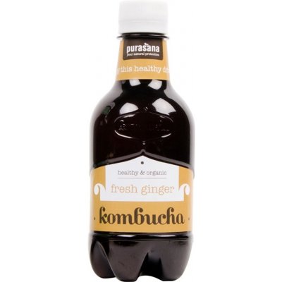 Kombucha BIO ginger Purasana 330 ml – Zboží Mobilmania