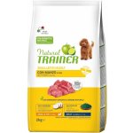 Nova Foods Trainer Natural Adult Small Toy Hovězí Rýže 2 kg – Hledejceny.cz