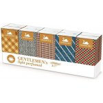 Harmony Ladies' papírové kapesníčky 3-vrstvé parfémované 10 x 10 ks – Zboží Dáma