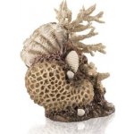 BiOrb Coral-Shells Ornament natural 22 cm – Zboží Dáma