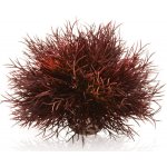 BiOrb Sea lilies karmínová 11 cm – Hledejceny.cz