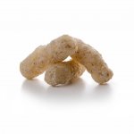 Dajana Pond sticks basic 5 l – Zboží Mobilmania