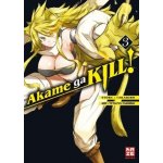 Akame ga KILL!. Bd.3