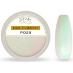 Starnails Nail Art zdobení pigment P028 – Hledejceny.cz