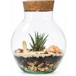 Gardners Skleněná dóza Campsis s korkovým špuntem, 19x15 cm - osázené suchomilně – Hledejceny.cz