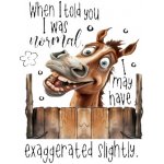 Nažehlovací obrázek - vysmátý kůň (17,0 x 22,1 cm) – Zboží Dáma