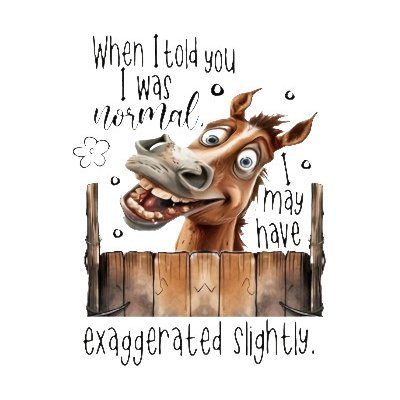 Nažehlovací obrázek - vysmátý kůň (17,0 x 22,1 cm) – Zboží Dáma