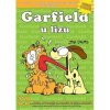 Garfield u lizu č.23) - J. Davis